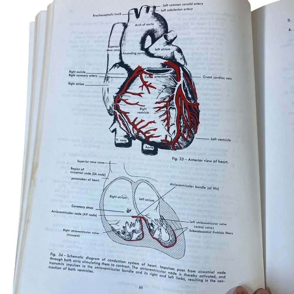 Understanding Medical Terminology 5th Edition by Sister Agnes Clare Frenay SSM